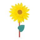 해바라기유치원 이미지