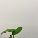 닥터진의원 이미지