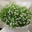 THE채움공인중개사사무소 이미지