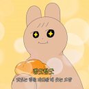 사랑해베이글광교카페