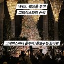 그레이스투어(Grace Tours) | W09. 웨딩홀 투어_그레이스파티 신림 상담 후기/내부/신부대기실/피로연장/그레이스파티웨딩홀