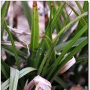 장원목장 이미지