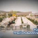영복여자중학교 이미지