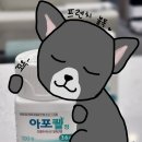 정자역약국 이미지