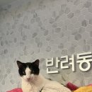 반포문화센터-2 | 부산 유기견 봉사활동, 반려동물복지문화센터 봉사 후기 2탄!