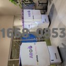 포토존A 이미지