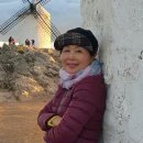 부어김밥 이미지