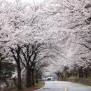 청룡저수지 이미지