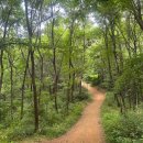 지에스25(GS25)궁동상지 이미지