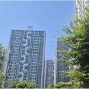 동행 법무사 행정사 사무소 네이버블로그