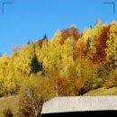 THE웃는치과의원 이미지