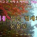 가을을 남기고 간 사랑/Song by 패티김 이미지