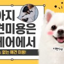 뉴케어동물병원 이미지