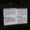 제주가마오름 일제동굴진지 이미지