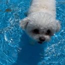 여기서 놀개 이미지