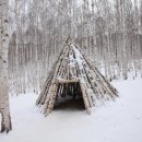 자작&white 이미지