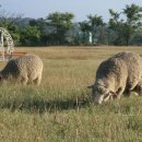 바다로 가는 길목 이미지