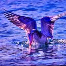 김영식공인중개사사무소 이미지