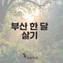 한국지엠성환바로서비스 | 부산에서 한 달 동안의 힐링과 맛 여행에 이끌린 당신?