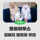 자스민 동물병원 | 은은한 향이 좋은 뽀숑하우스 강아지탈취제
