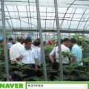 대학농장 이미지