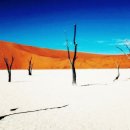 연수초 맞은편 이미지