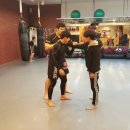 곰 체육관 이미지