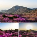 [정운산악회 제217차 정기산행] 대구광역시 달성군 비슬산(琵瑟山,1084M) - 2025년04월19일(토) 산행 이미지