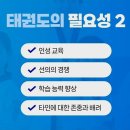 최강웅비태권도 이미지