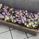 온양3동 삼동로40번길 이미지