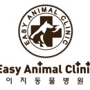 박촌강아지 이미지