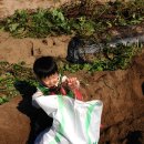 태균농장 이미지