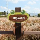 대명화원