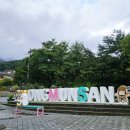 천년나무3단지 앞 | 주말 일기 [경기도 양평 가볼만한곳] 용문사 천년 은행나무 계곡 힐링여행 후기