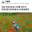 20/5/31일 청평운두산깃대봉 이미지