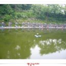 수정낚시터 이미지