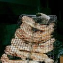 장관식복싱GYM 이미지