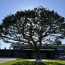 뉴코리아실외 이미지