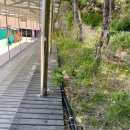 남정초등학교후문 이미지