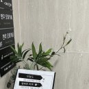 No.1화로구이(송정점) | [부산 해운대구 송정] ▶넘버원 화로구이 VIP 한우 다이닝 후기