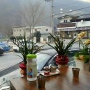 단양 보리곳간 이미지