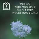 7월.1일.수요일 간추린 뉴스 이미지