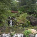 백양1리 | 생소한 춘천 굴봉산역에 가서 수목원도 돌아보고 굴봉산 산행까지