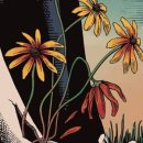 강남-081 이미지