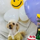 마루 유치원 이미지