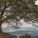 부여(임천)-13 이미지