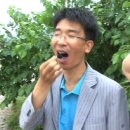 유영석농장 이미지