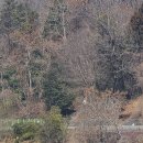 미력면(화순) | 화순에서 만난 막걸리! 보성 보라주가 '얼씨구 생막걸리'에 퐁당 빠진 이야기 🍶⛳