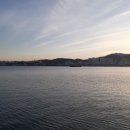 처가집양념치킨금호점 이미지