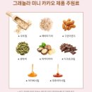 그래놀라하우스 그래놀라 미니 세트 청키하게 뭉쳐진 그래놀라 택배 후기